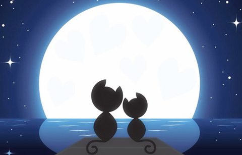 19日19时13分：今年中秋月最圆（图片来源于百度搜索）