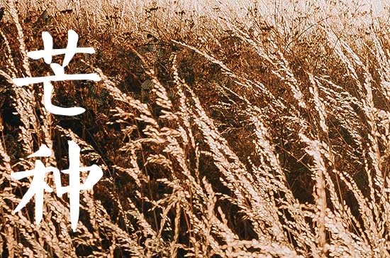 2023年芒种是几月几号几点几分几秒