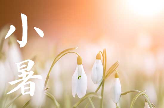 2023年小暑是什么时辰 2023年小暑节气时间
