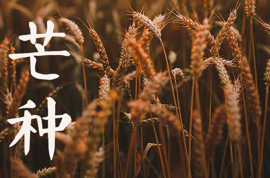 2023芒种是几月几号开始的