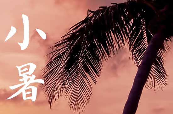 2023年小暑时间几点几分几秒 23年小暑是哪天