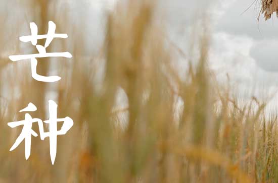 2023年的芒种是哪一天,2023年芒种属于几月