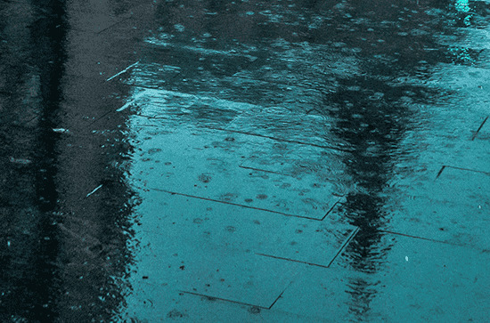 谷雨火爆全网的唯美句子大全
