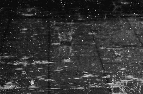 谷雨节气简短祝福语 谷雨节气经典简短祝福语