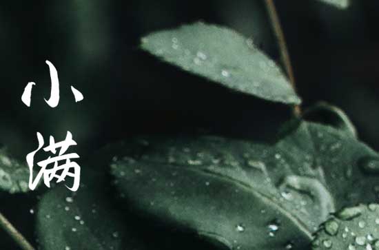 今日小满文案短句(精选110句)
