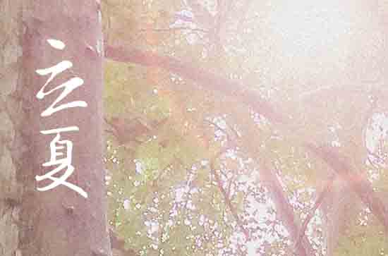 立夏句子短句唯美