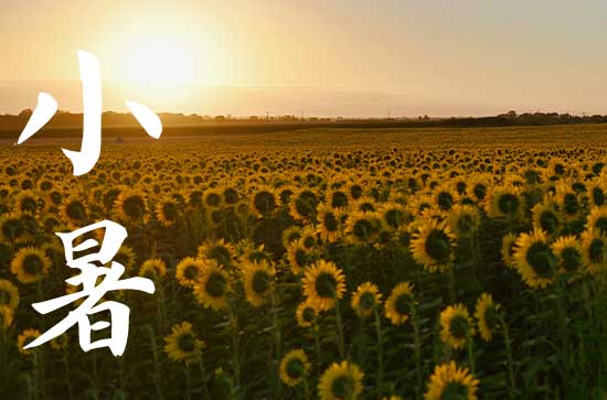 2023年小暑是几点 2023小暑是哪一天什么时间