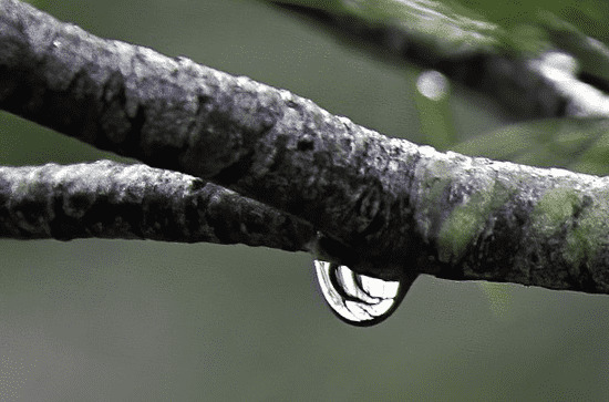 今日谷雨朋友圈文案简短