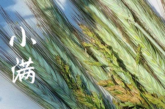 2023年小满温馨文案句子