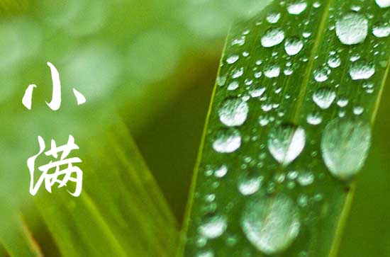 小满节气给客户发的信息 小满节气给顾客发的养生短信