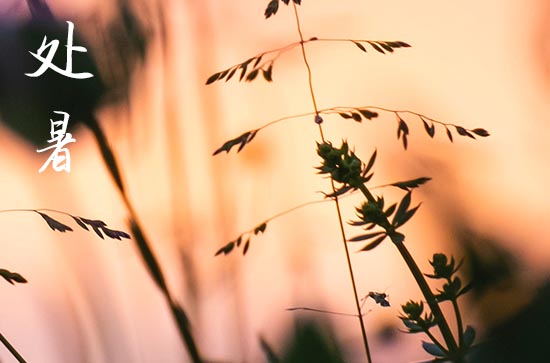处暑是什么季节,处暑是夏季还是秋季节气