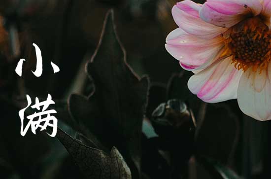 小满祝福语简短优美 小满祝福语诗句