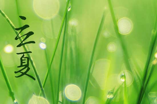 描写立夏节气的句子（精选100句）