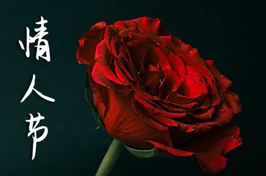 2024年2月14日情人节是结婚登记的黄道吉日吗 2024年2月14日情人节结婚登记适合吗