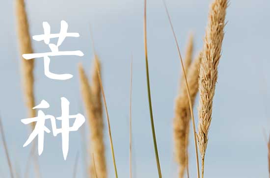 芒种一般是在阳历的几月