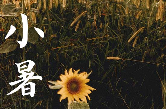 2023年哪天是小暑 2023年的小暑是什么时候