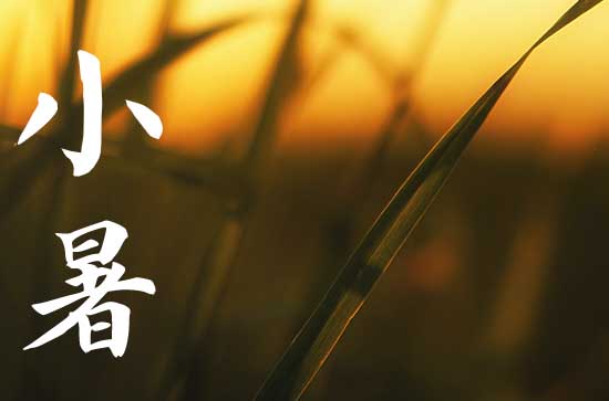2023小暑是头伏吗 头伏第一天是哪一天2023