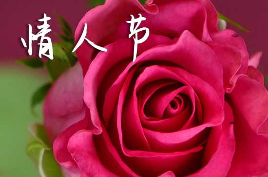 2024情人节当天可以登记结婚证吗 2024年情人节适合登记结婚证吗