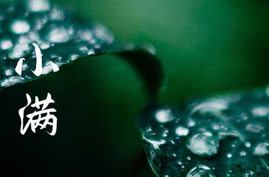 小满节气文案短句(120句)