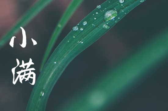 2023小满过后是初夏吗 小满过后是什么季节