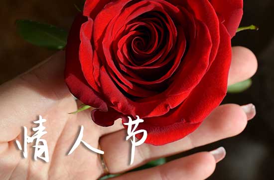 2024年情人节适合领结婚证吗 2024年2月情人节是黄道吉日吗