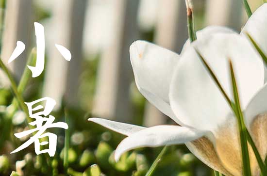 2023小暑是哪一天的什么时候 2023年小暑是几月几号