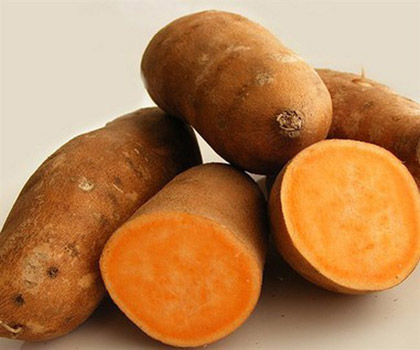红薯（图片来源于百度搜索）