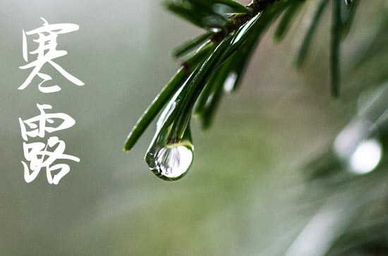 寒露属于第几个节气 寒露第几个节气