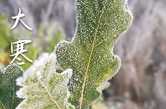 大寒节气微信祝福语5篇