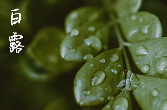 白露节气发朋友圈说说