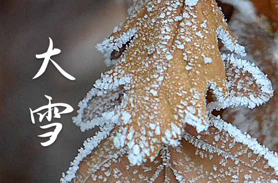 大雪节气祝福语合集15篇