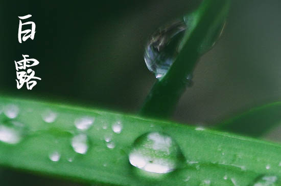 白露节气下雨有什么说法