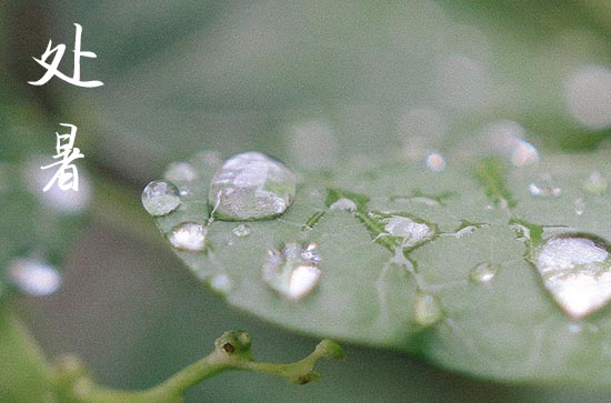 处暑节气是什么人的交运时间 处暑什么时间点交运