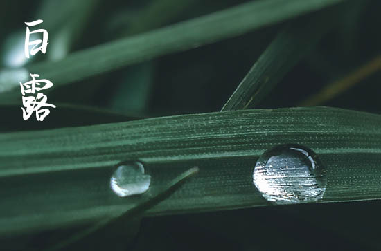 白露节气发给朋友的祝福诗词