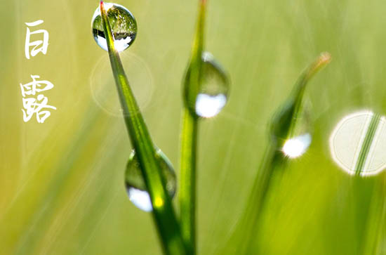 白露节气下雨有什么说法 白露前后一般会下雨吗